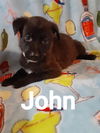 John 2781