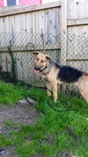 Bailey 2801