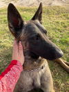 Billy 2749