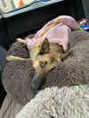 Hallie 2819