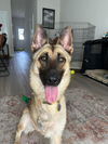 Hallie 2819