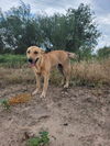 Tabitha 2837
