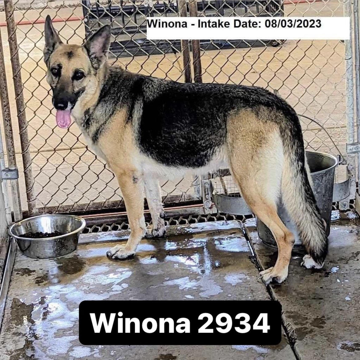 Winona 2934
