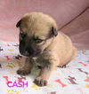 Cash 2947