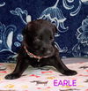Earle 2950
