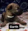 Garth 2952