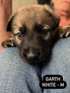 Garth 2952