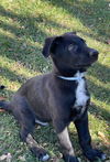Waylon 2958