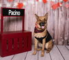 Pacino 3003