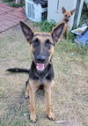 Hailey 3027