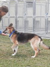 Muneca 3081