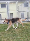 Muneca 3081