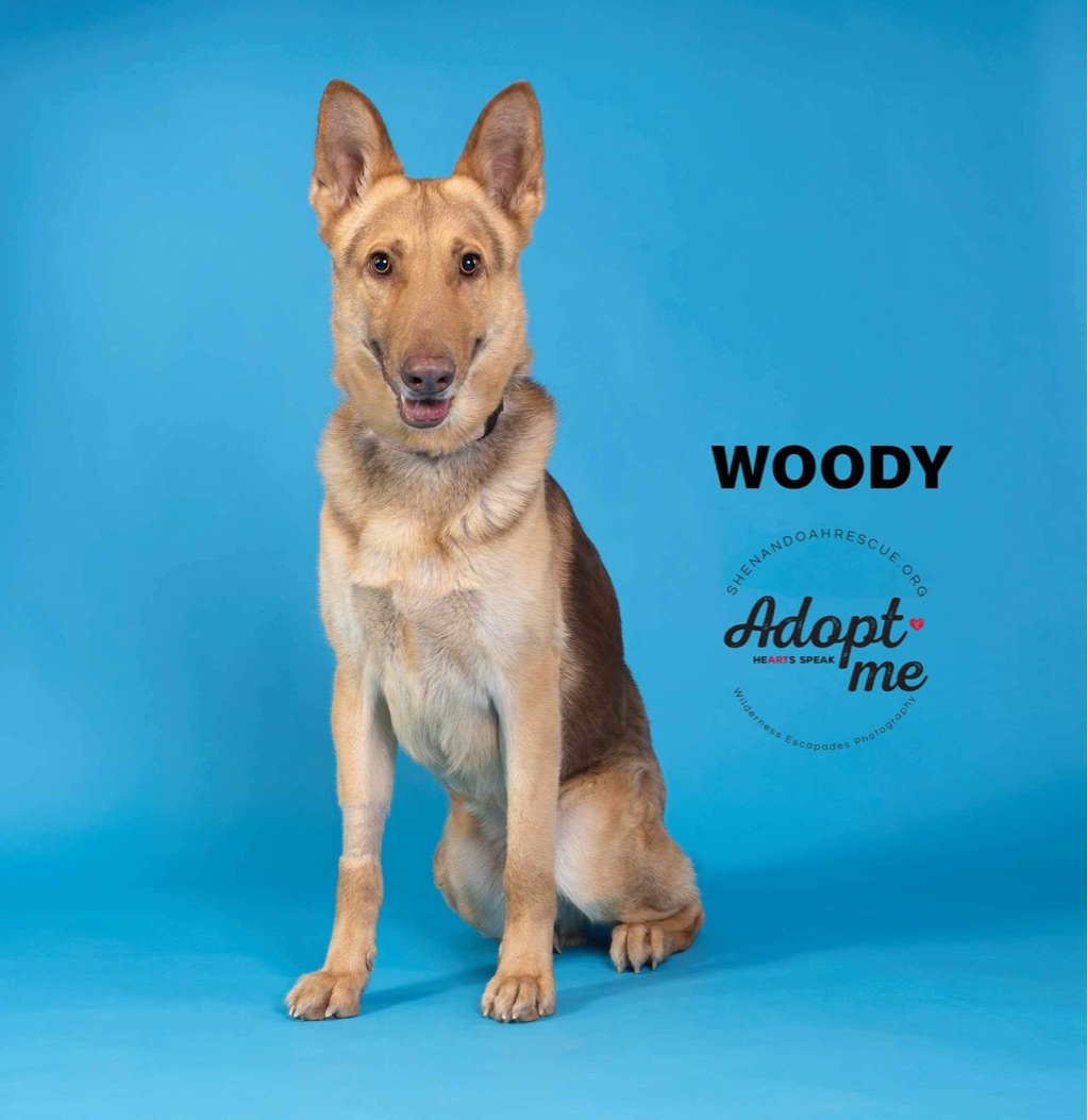 Woody 3066