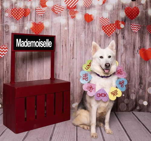 Mademoiselle 3071