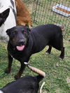 Magic (Bandit) 3134