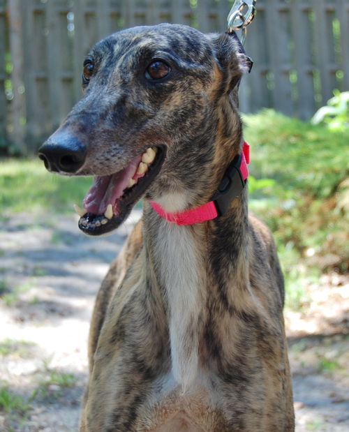 Ella