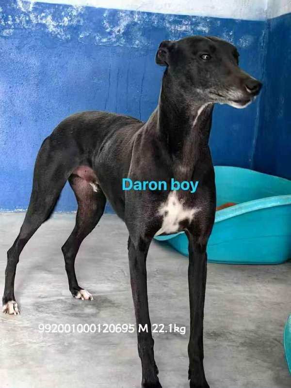 Daron