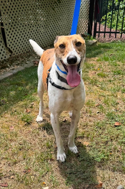Benny photo 2