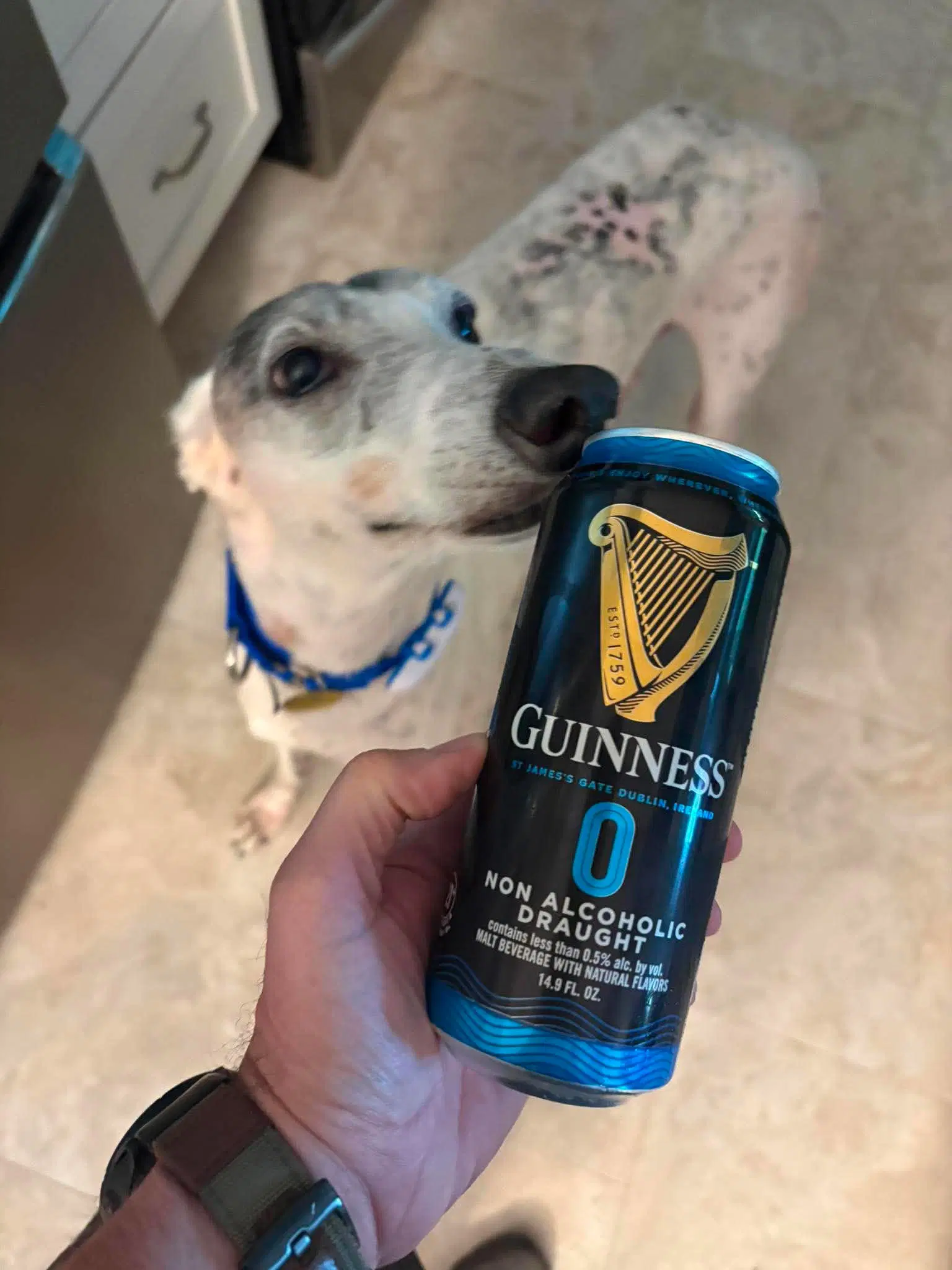 Guiness image 2