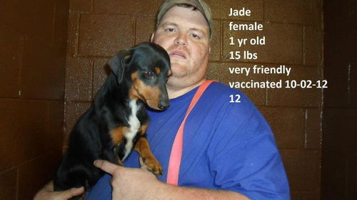 Jade