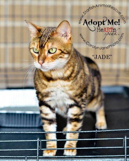 Jade
