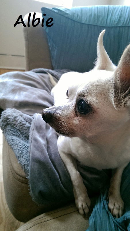 Albie