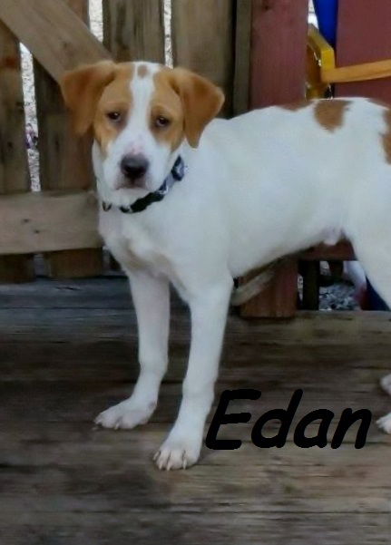 Edan aka Cooper