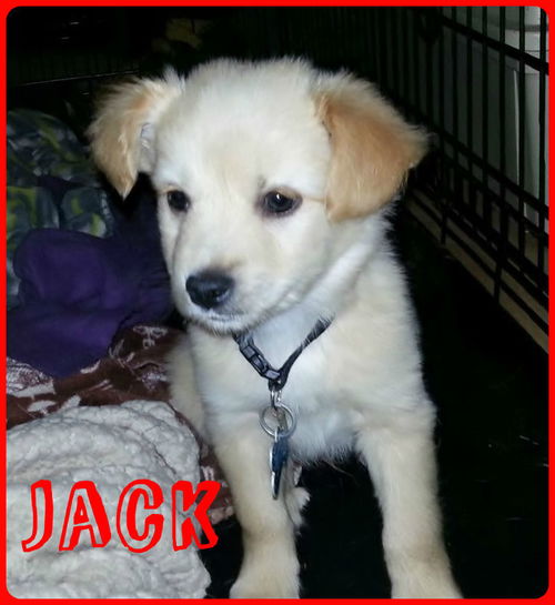 Jack