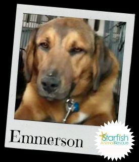 Emmerson - Emerson
