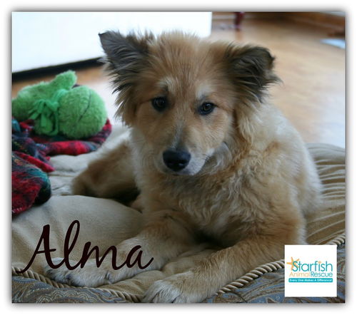 Alma