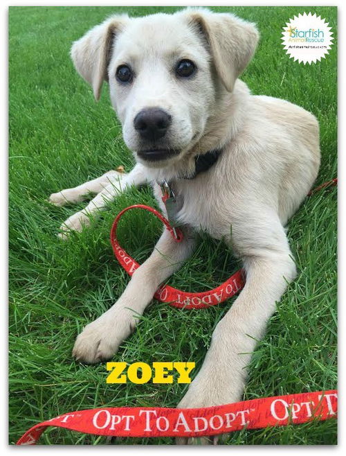 Zoey