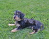 Zoey