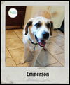 Emmerson