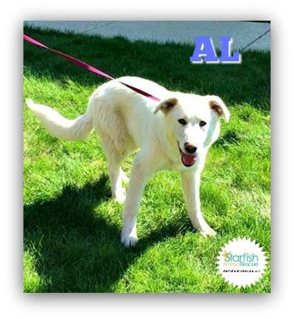 Al