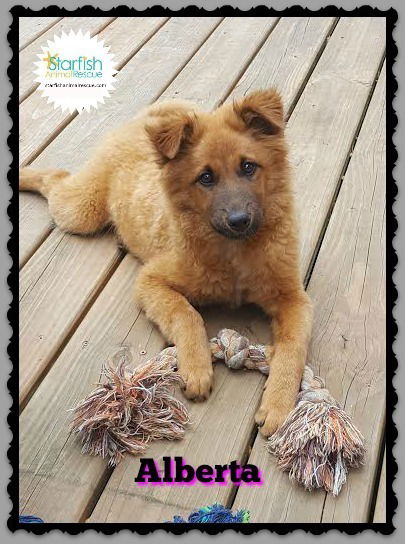 Alberta
