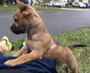 Zoey