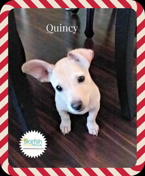 Quincy