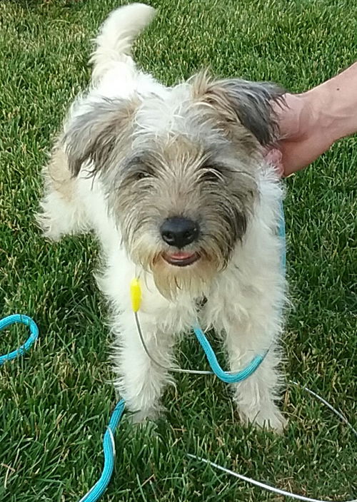 Ernie