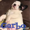 Garbo