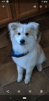 Zoey