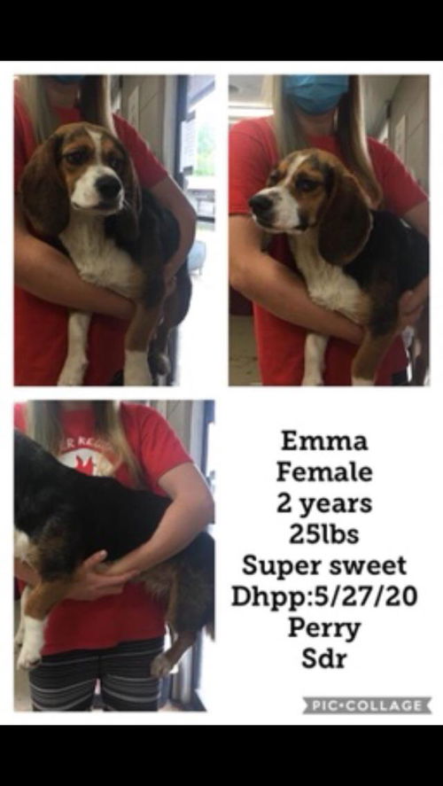 Emma