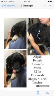Aliyah