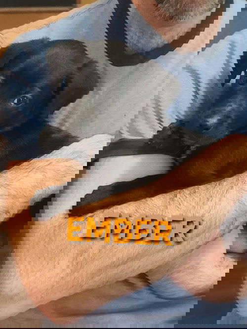 Ember