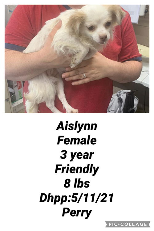 Aislynn