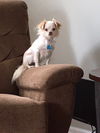 Aislynn