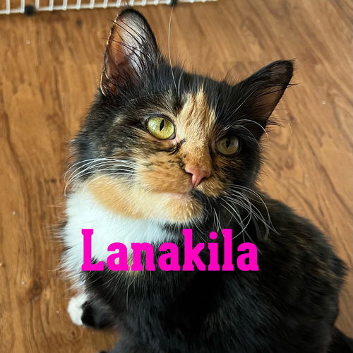 Lanakila
