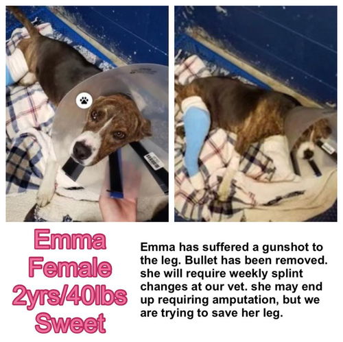 Emma