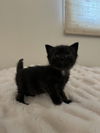 Eloise
