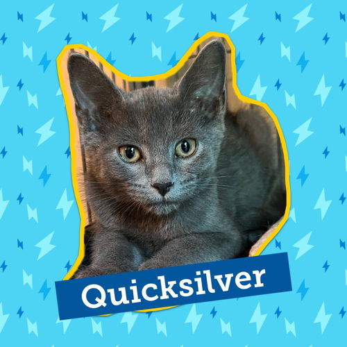 Quicksilver