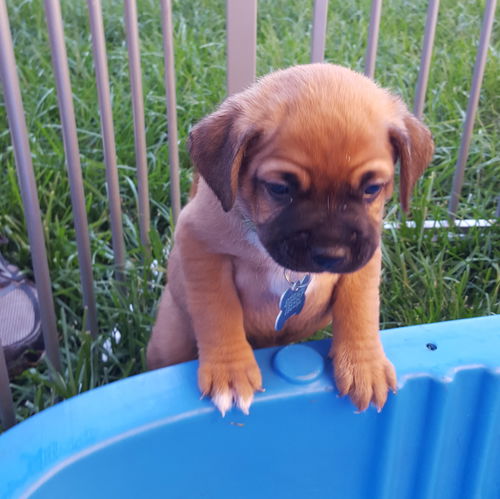 Zuko